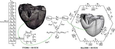 Relationship Between Electrical Instability and Pumping Performance During Ventricular Tachyarrhythmia: Computational Study